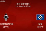 8.24 德甲联赛:门兴vs汉堡比赛分析